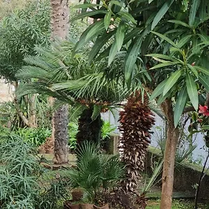 Appartamento La Perle Marine, Diano Marina